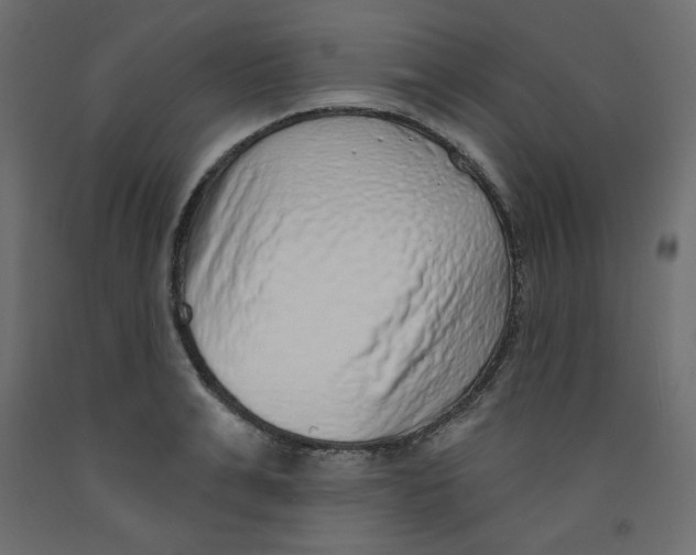 X0000092320991200710121519