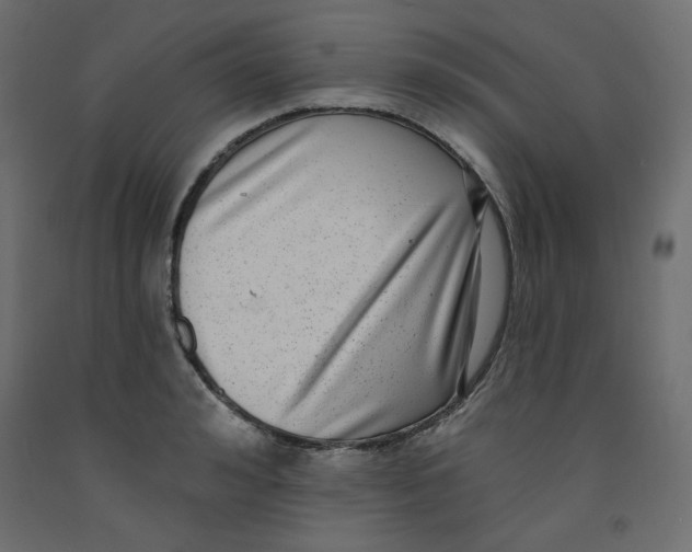 X0000092320992200710121519