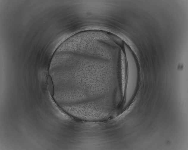 X0000092320993200710121519