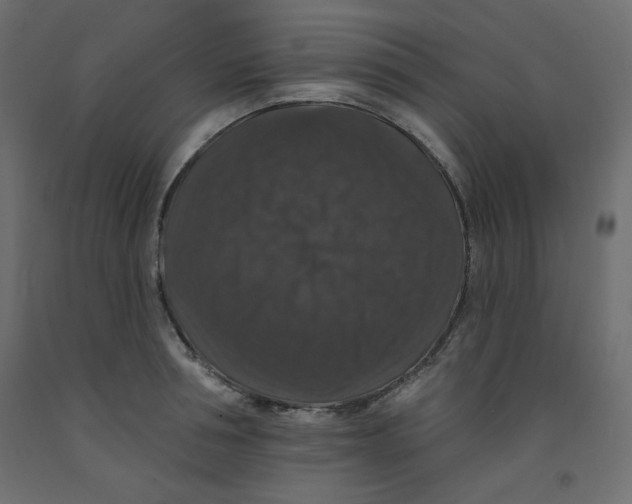 X0000092320994200710121519