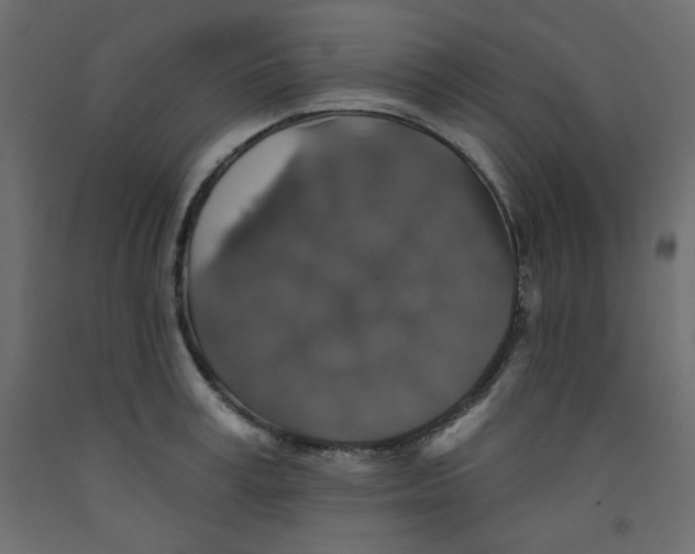 X0000092320995200710121519