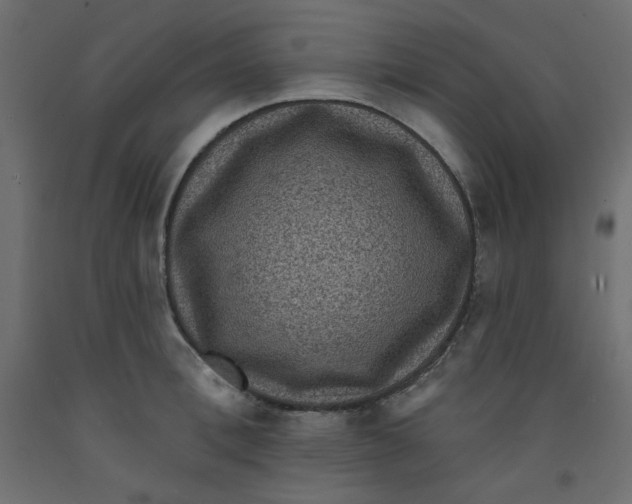X0000092320996200710121519