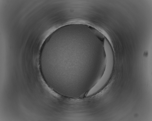X0000092320997200710121519