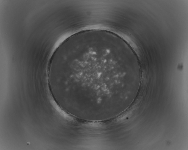 X0000092320998200710121519