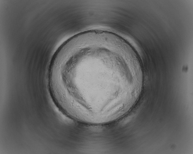 X0000092320999200710121519