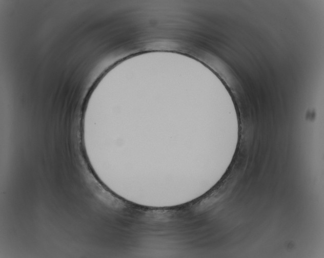 X0000092321000200710121519