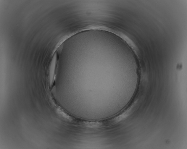 X0000092321001200710121519