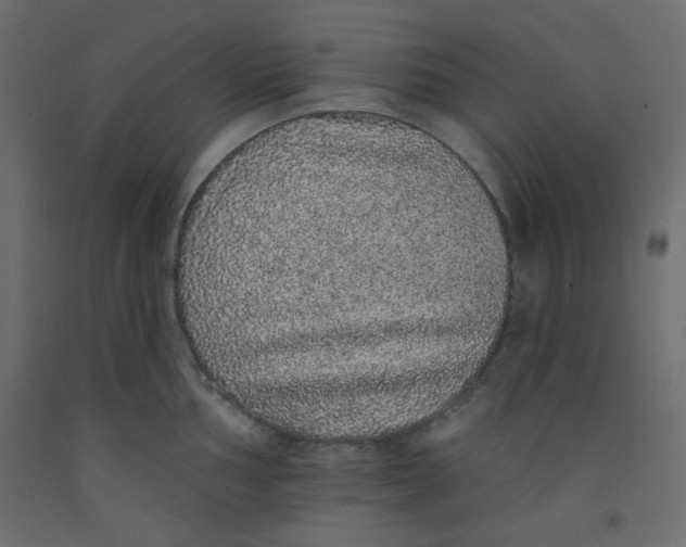 X0000092321002200710121519