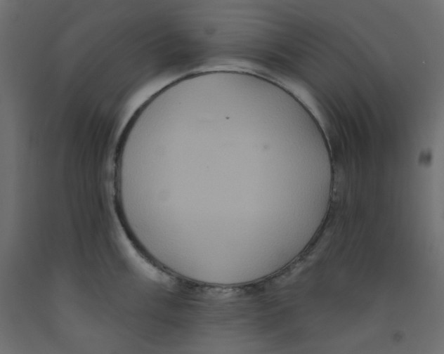 X0000092321003200710121519