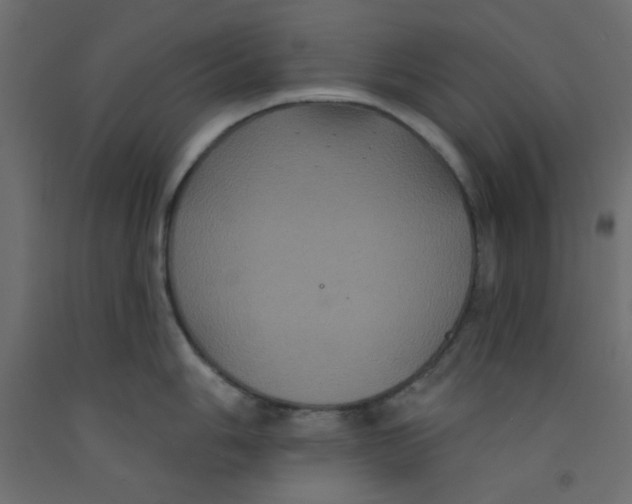 X0000092321006200710121519