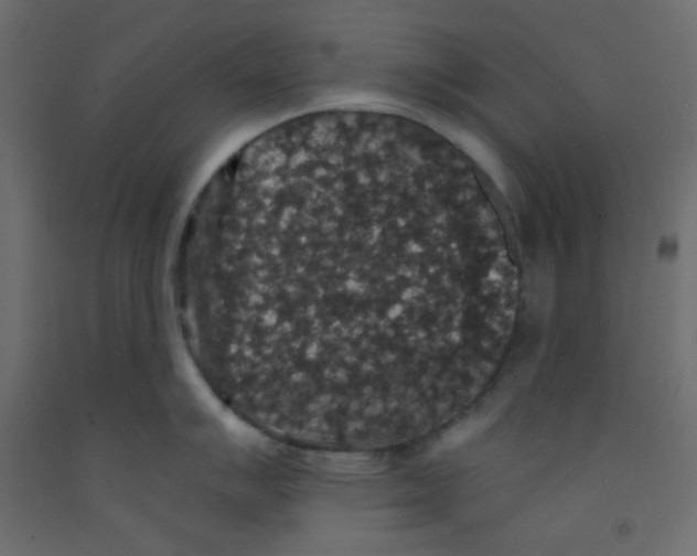 X0000092321007200710121519