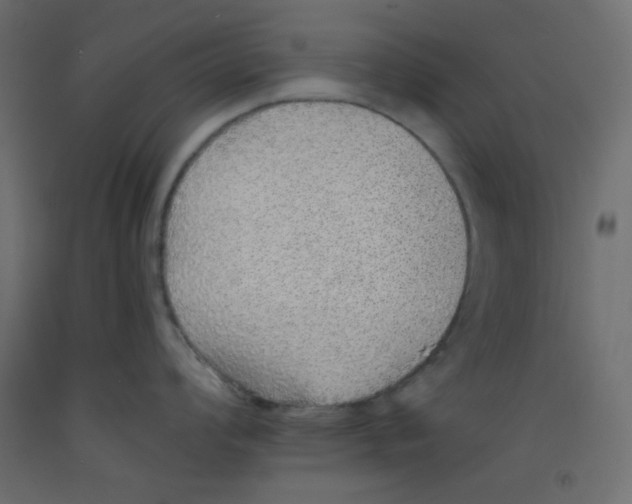 X0000092321008200710121518