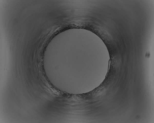 X0000092321009200710121518