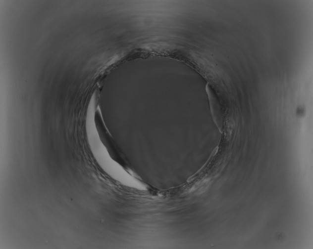 X0000092321010200710121518