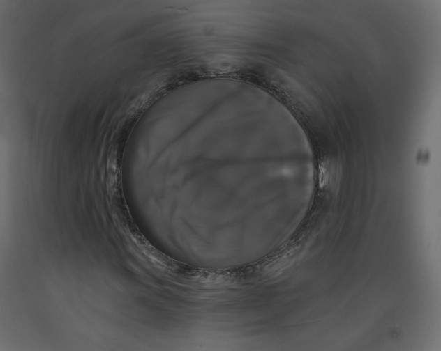 X0000092321011200710121518