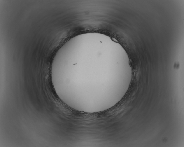 X0000092321012200710121518