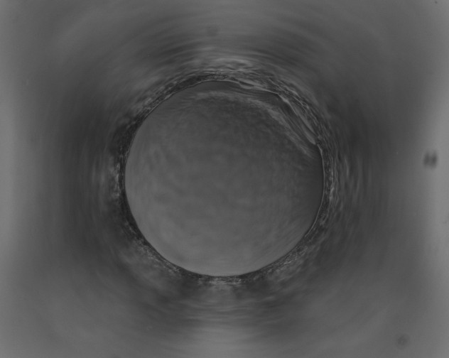 X0000092321013200710121518