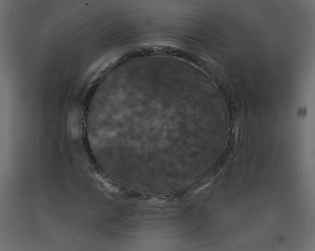 X0000092321014200710121518