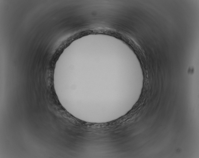 X0000092321016200710121518