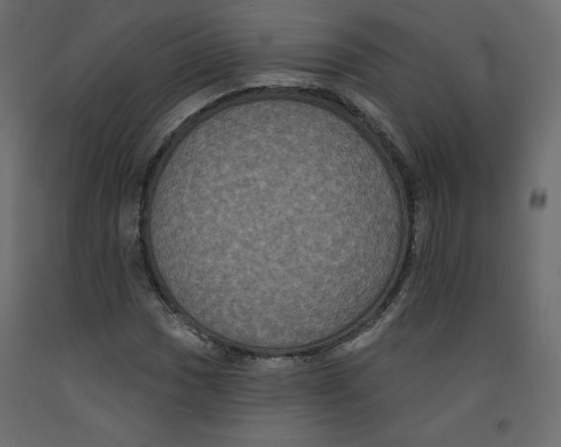 X0000092321017200710121518