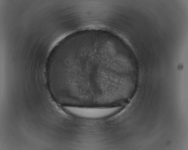 X0000092321018200710121518