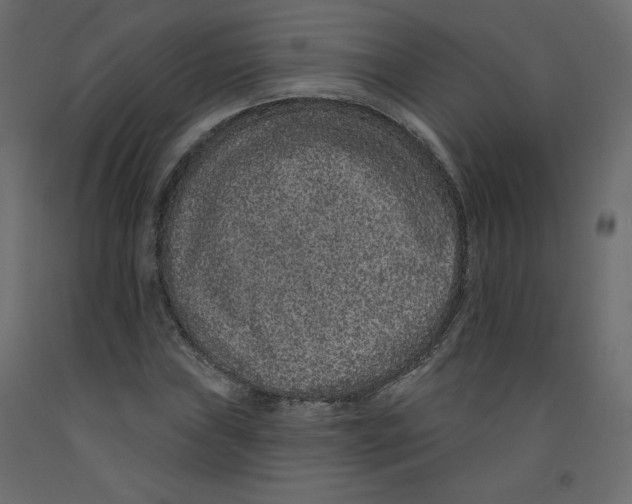 X0000092321019200710121518