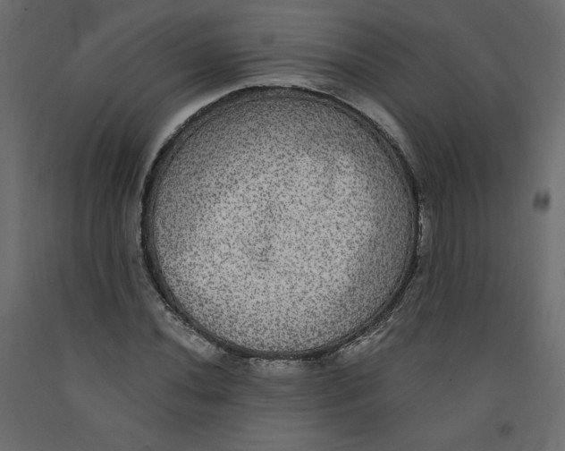 X0000092321020200710121518