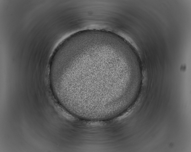 X0000092321021200710121518