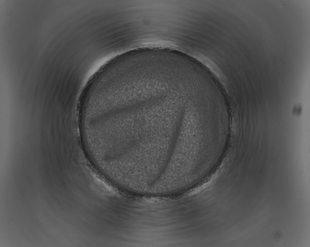 X0000092321022200710121518
