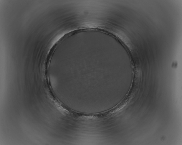 X0000092321023200710121518