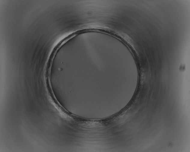 X0000092321024200710121518
