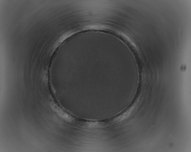 X0000092321025200710121518