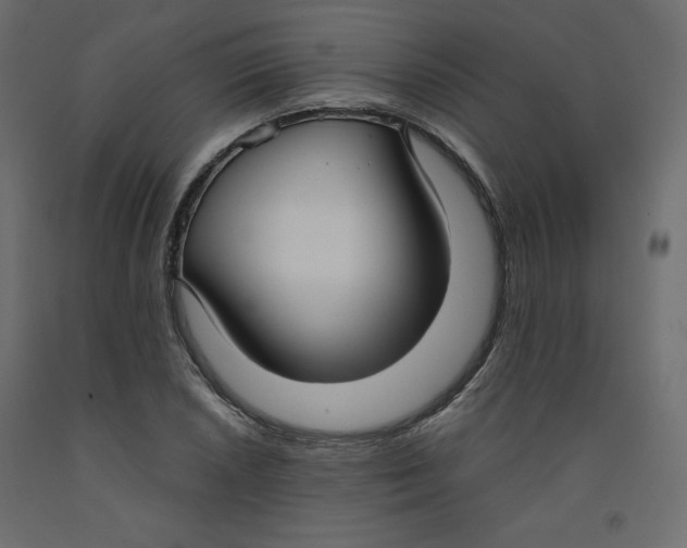 X0000092321026200710121518