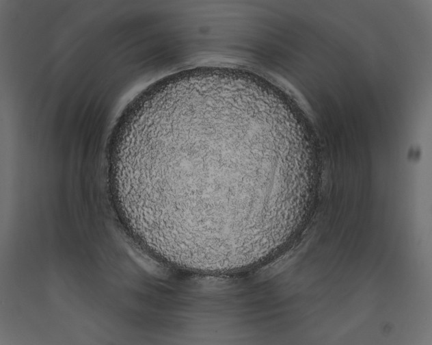 X0000092321027200710121518