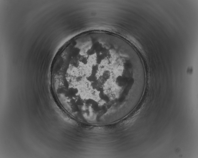 X0000092321028200710121518