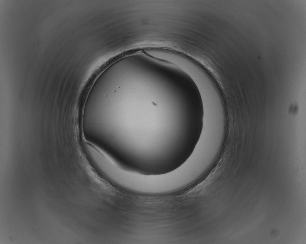 X0000092321030200710121518