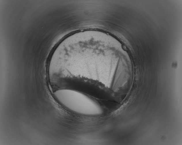 X0000092321031200710121518
