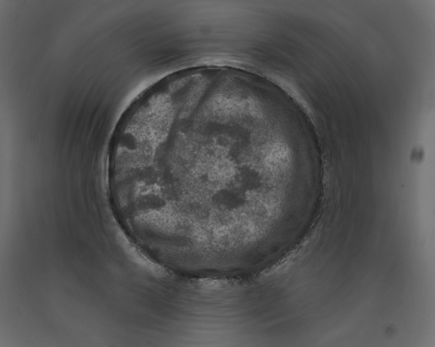 X0000092321032200710121518