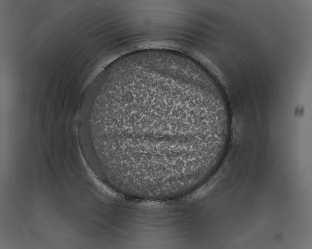 X0000092321033200710121518