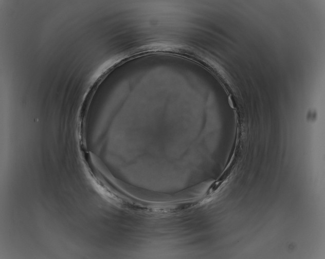 X0000092321034200710121518