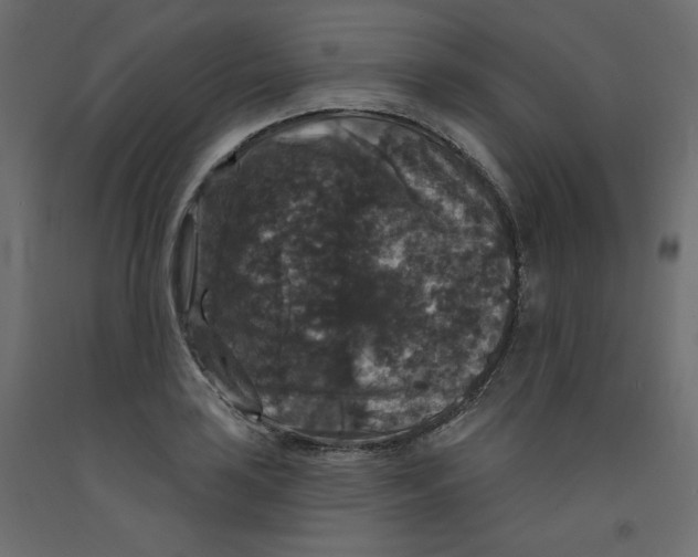 X0000092321035200710121518