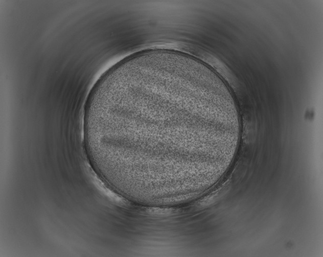 X0000092321036200710121518
