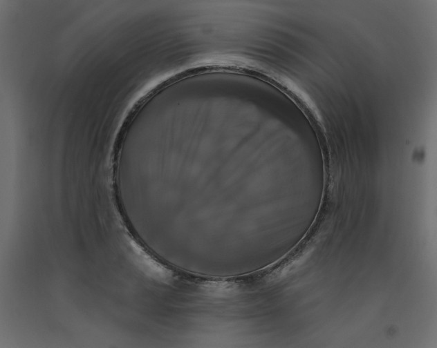 X0000092321037200710121518