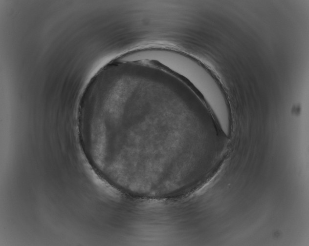 X0000092321038200710121518