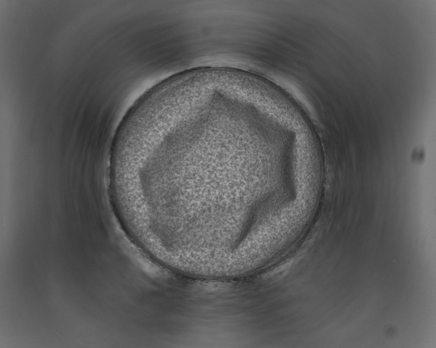 X0000092321040200710121518