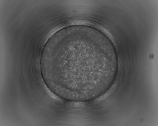 X0000092321041200710121518
