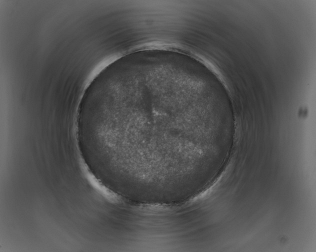 X0000092321042200710121518
