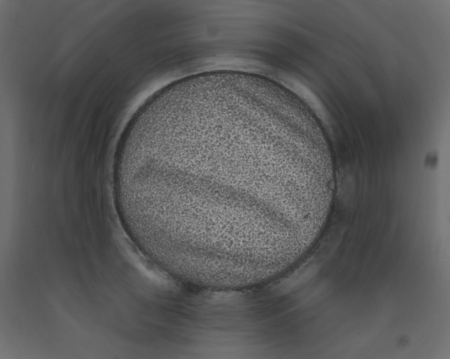 X0000092321043200710121518