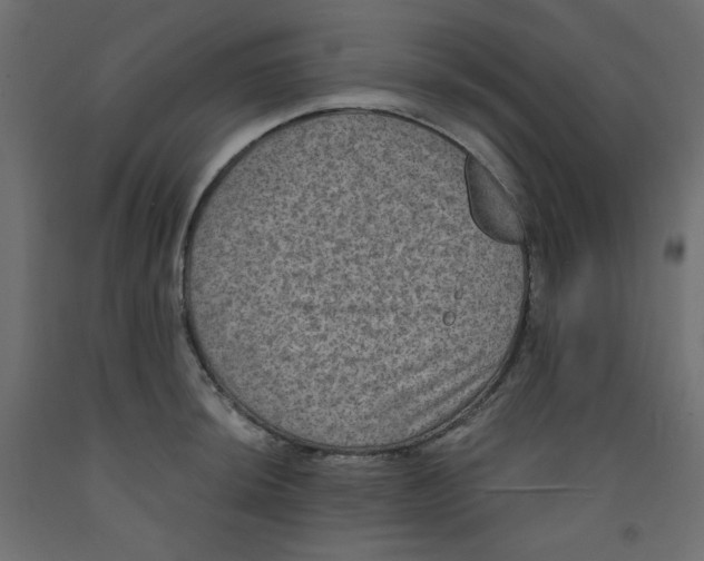 X0000092321044200710121518