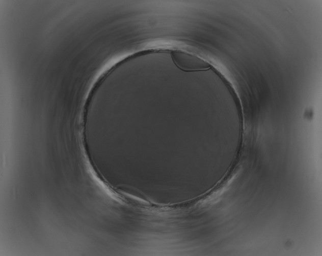 X0000092321045200710121518